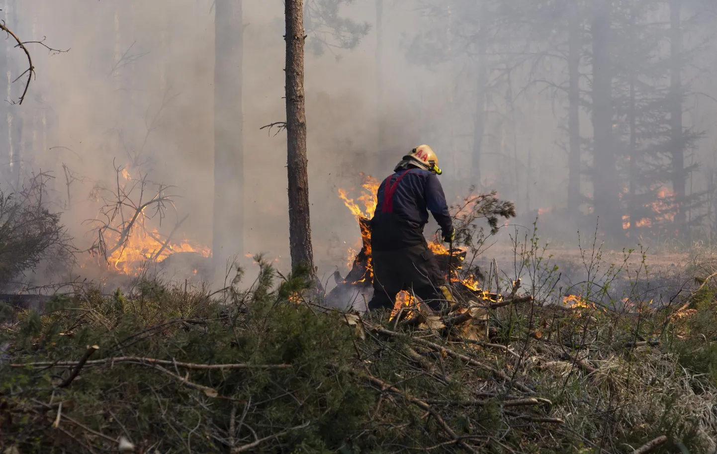 Aprillis on Lõuna-Eesti päätjad saanud juba ligi 50 väljakutset metsa- ja maastikutulekahjudele.