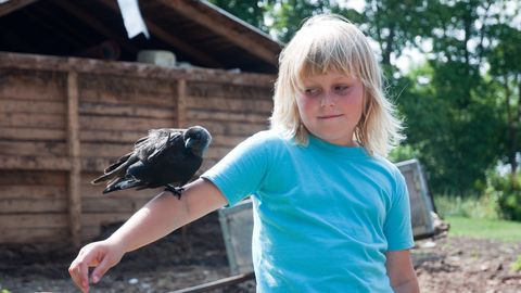 15 AASTAT TAGASI ⟩ Sandla hakk Kaaru sööb peost