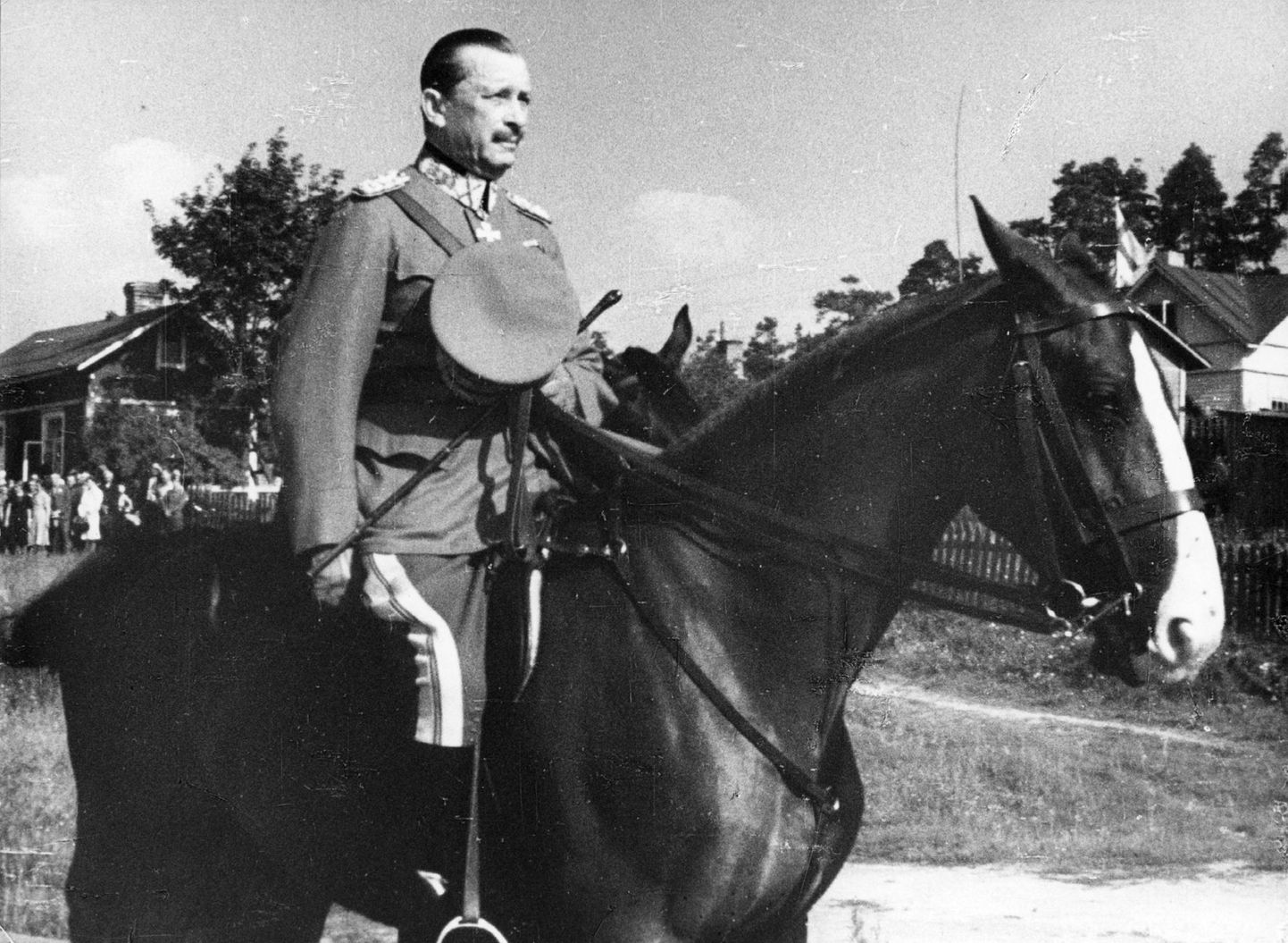 Marssal Mannerheim oma hobusega