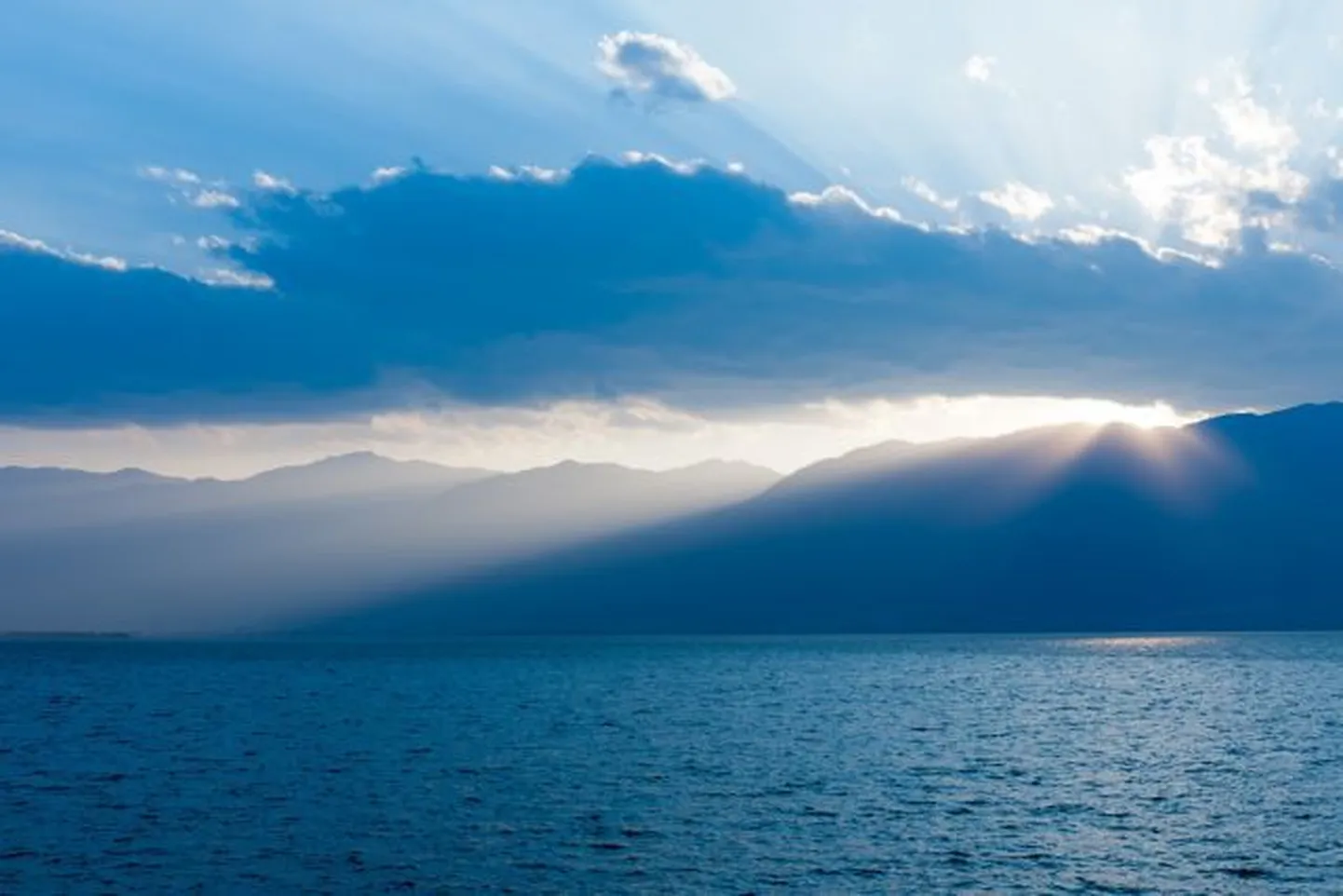 Artikli foto