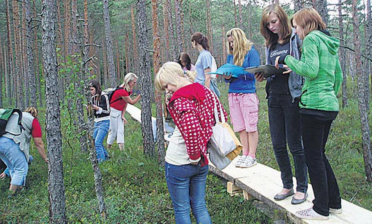 Laagris olnutele meeldis Teringi päev, mil nad kõndisid laudteel ja astusid rabapinnale, et kokku seada herbaarium ja maitsta marju.