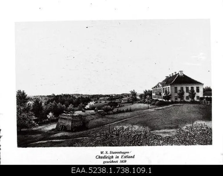 Artikli foto
