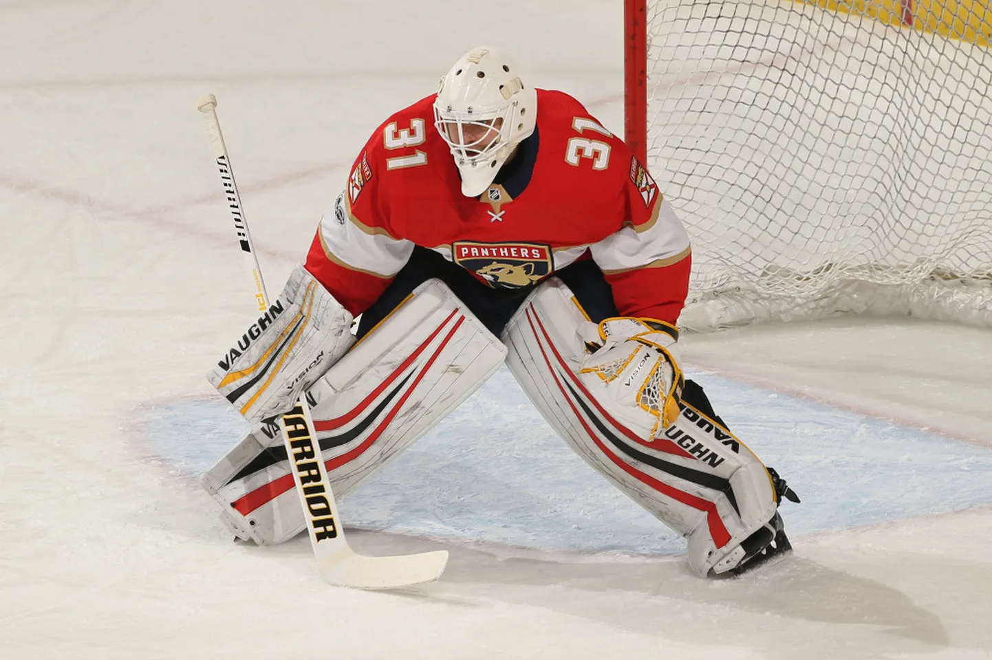 Anti Niemi