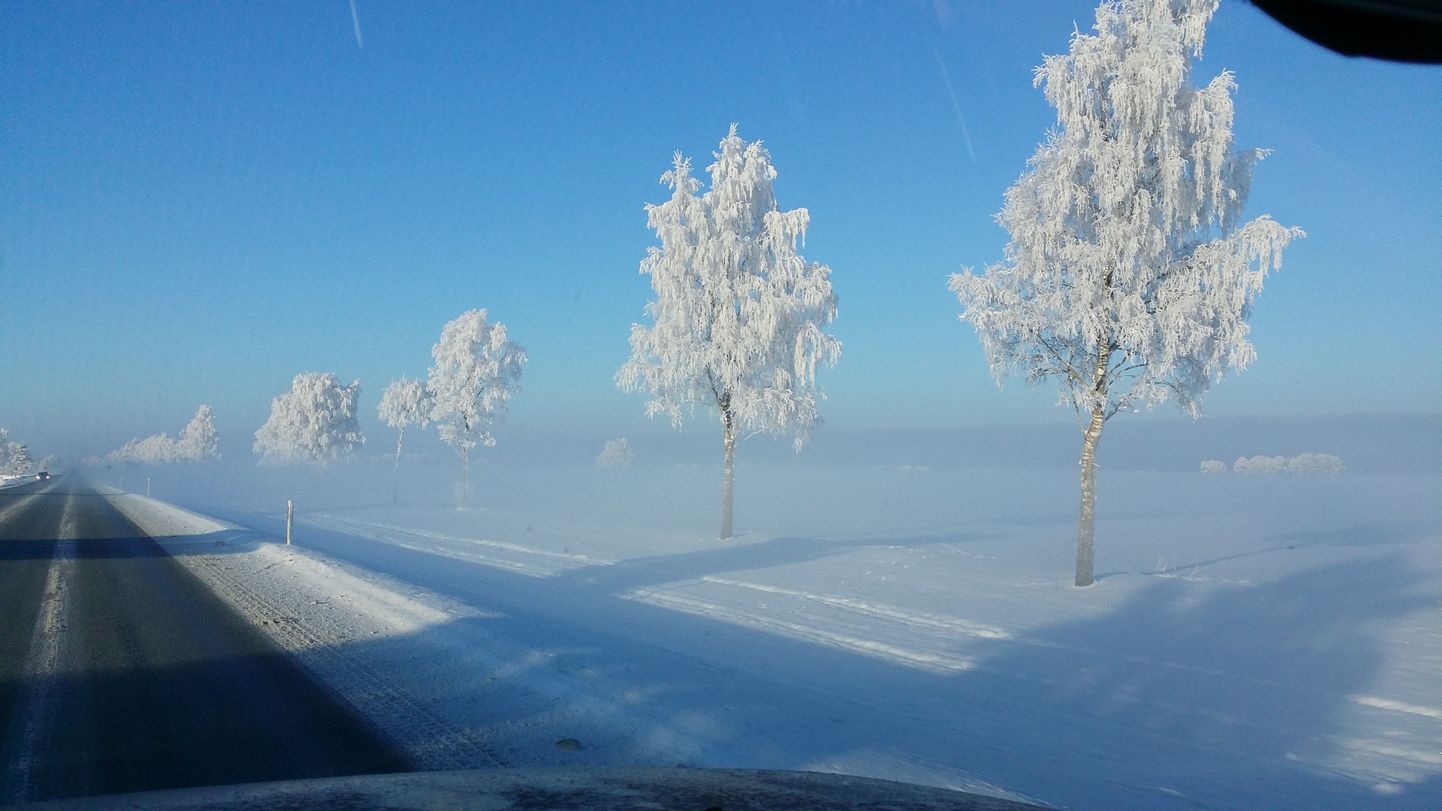 Eesti talv.