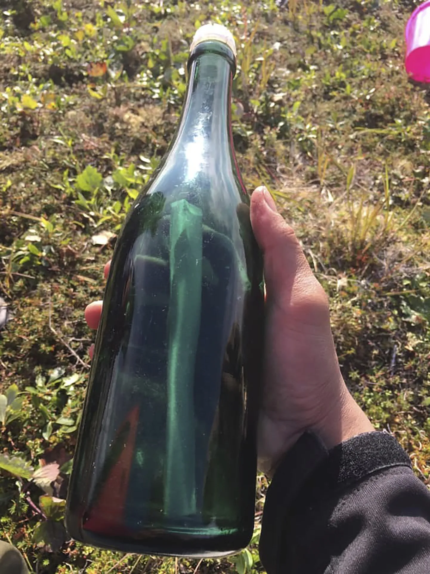 Alaskalane Tyler Ivanoff leidis rannalt pudeli, milles oli 1969. aastast pärit nõukogude kapteni kiri