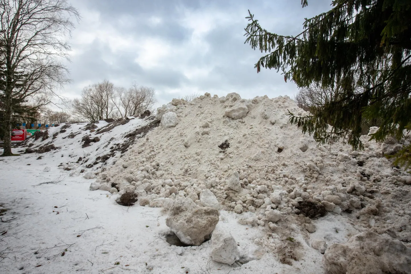 Linnatänavatelt äraveetud lund ladustatakse näiteks naisteranna pargis.