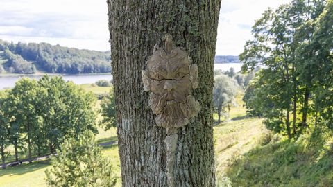 Lossimägedes ilmusid puudele salapärased näod