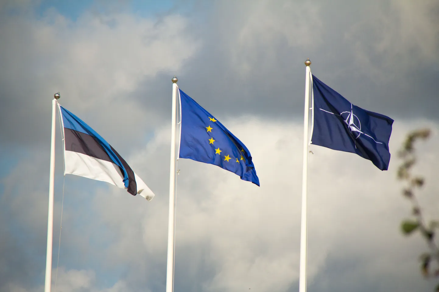 Флаги Эстонии, Европейского союза и НАТО. Снимок иллюстративный.