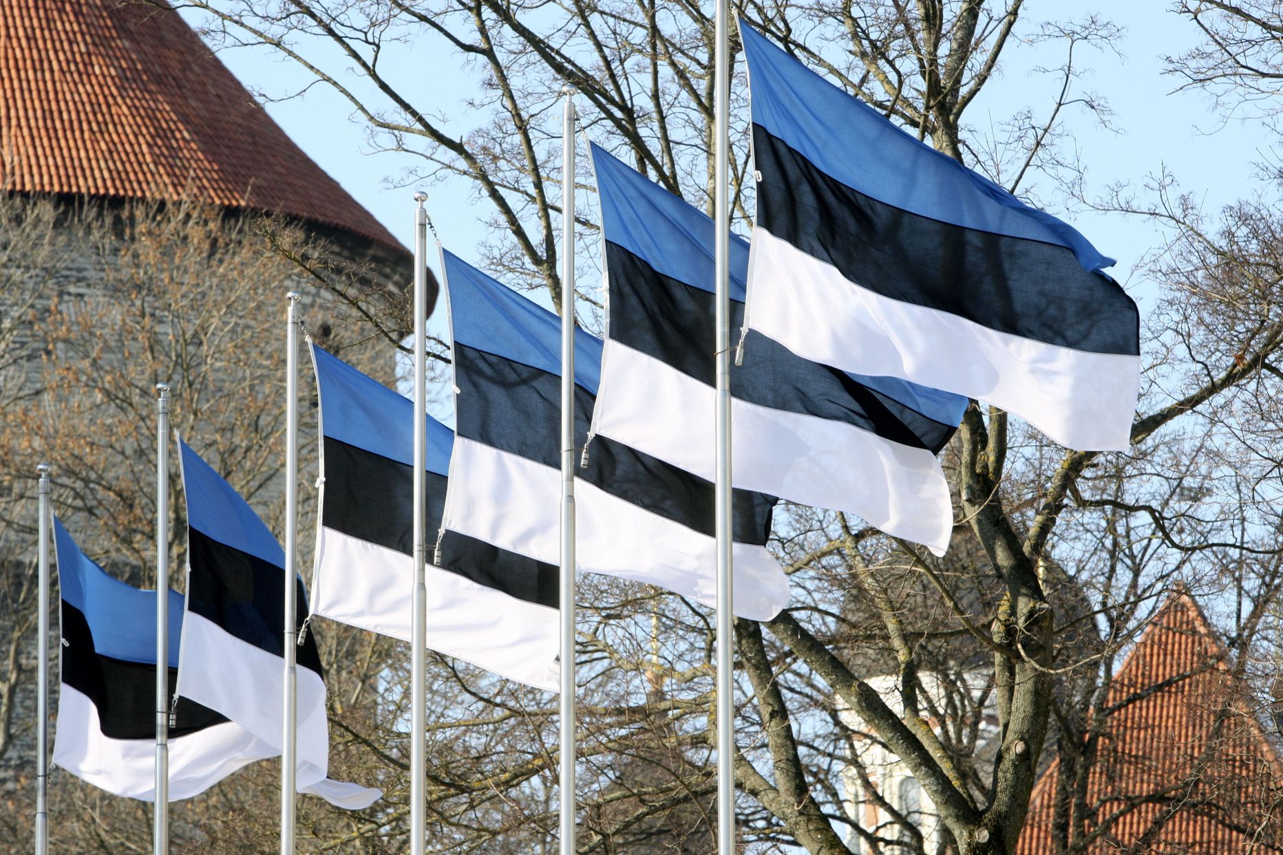 Эстонские флаги.