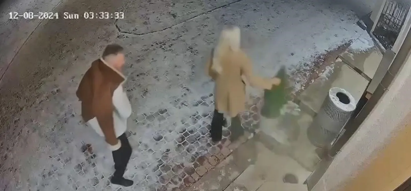 Блондинка утащила рождественскую елку