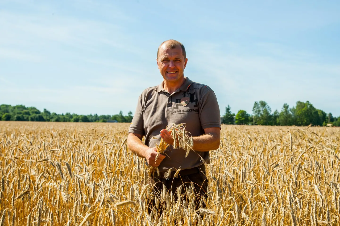 Põhara Agro juhataja Jaanus Põldmaa ütles, et mahevilja eest peaks tootja saama tavalise teraviljaga võrreldes vähemalt kaks korda rohkem, aga hinnavahe on vaid mõni protsent.