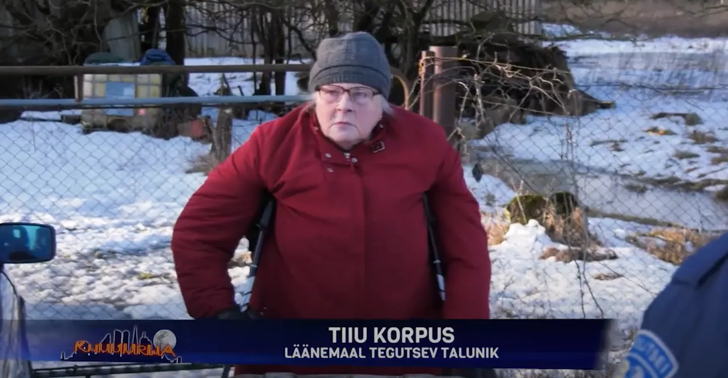 Läänemaal tegutsev talunik Tiiu Korpus.