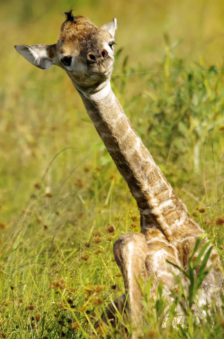 Foto: Scanpix