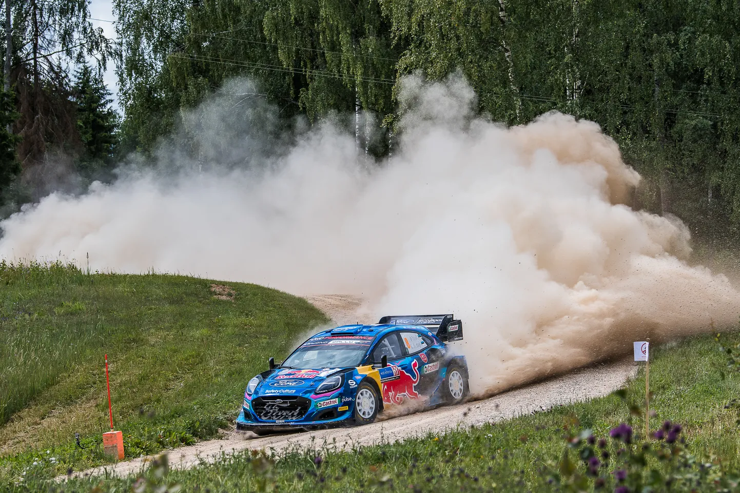 Ott Tänak Rally Estonial