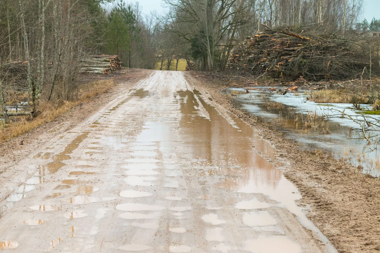 2019. aastal osutus rahvahääletusel osalenute arvates olulisemaks valla kruusateede korrastamine. Foto on illustratiivne.