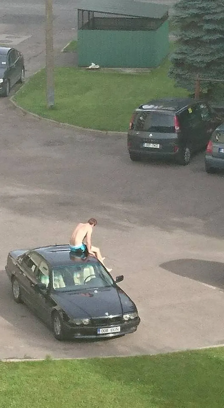 Фото читателя