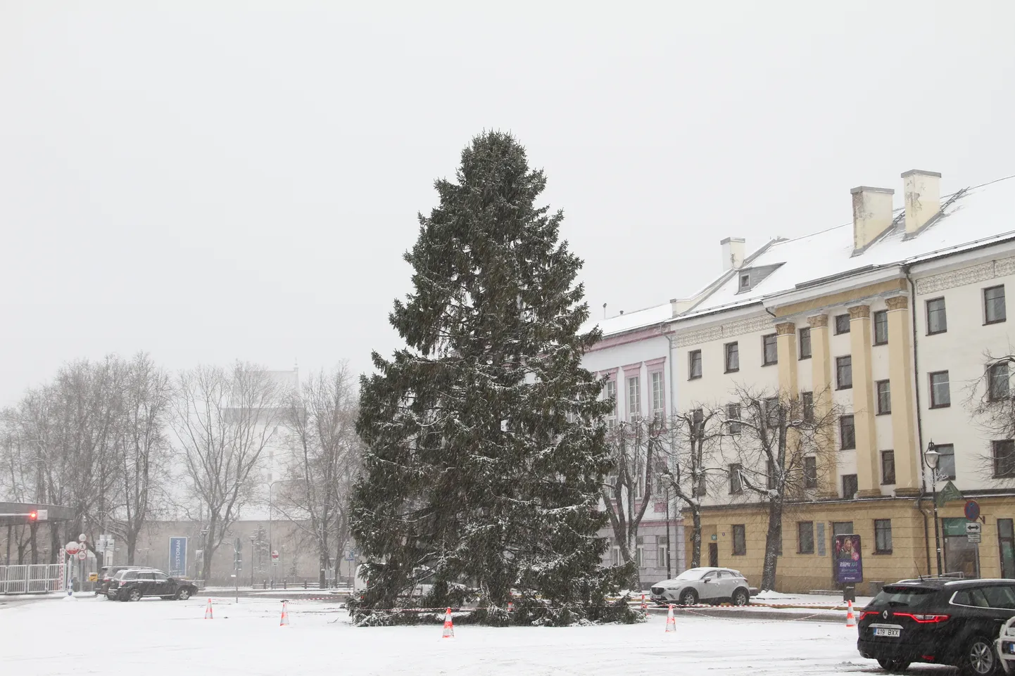 Новогодняя елка в Нарве.