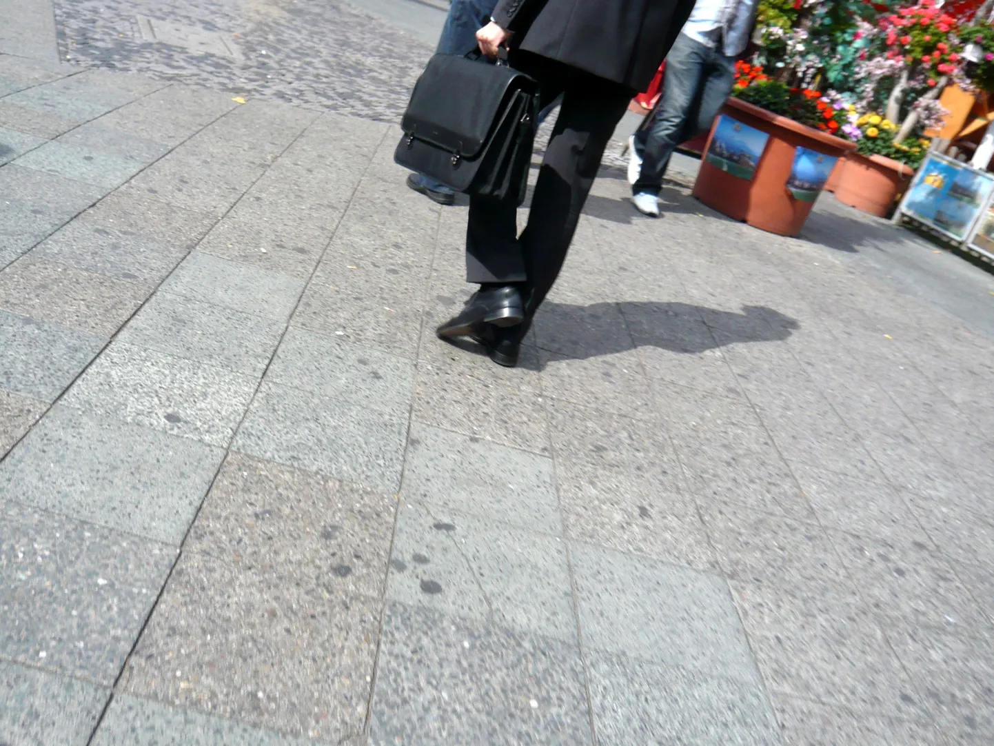 Raksta foto