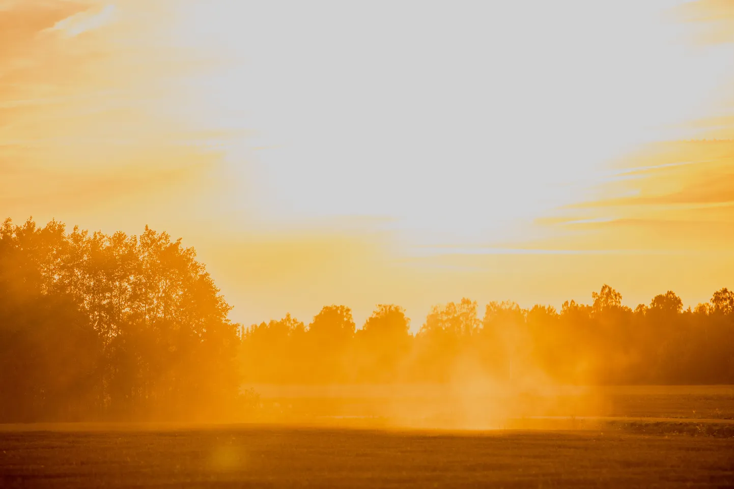 Põllumehed, taimekasvatajad kasutavad ilusaid ilmasid viimase saagi koristamiseks. Põld, vili, viljapõld, kombain, sügis.