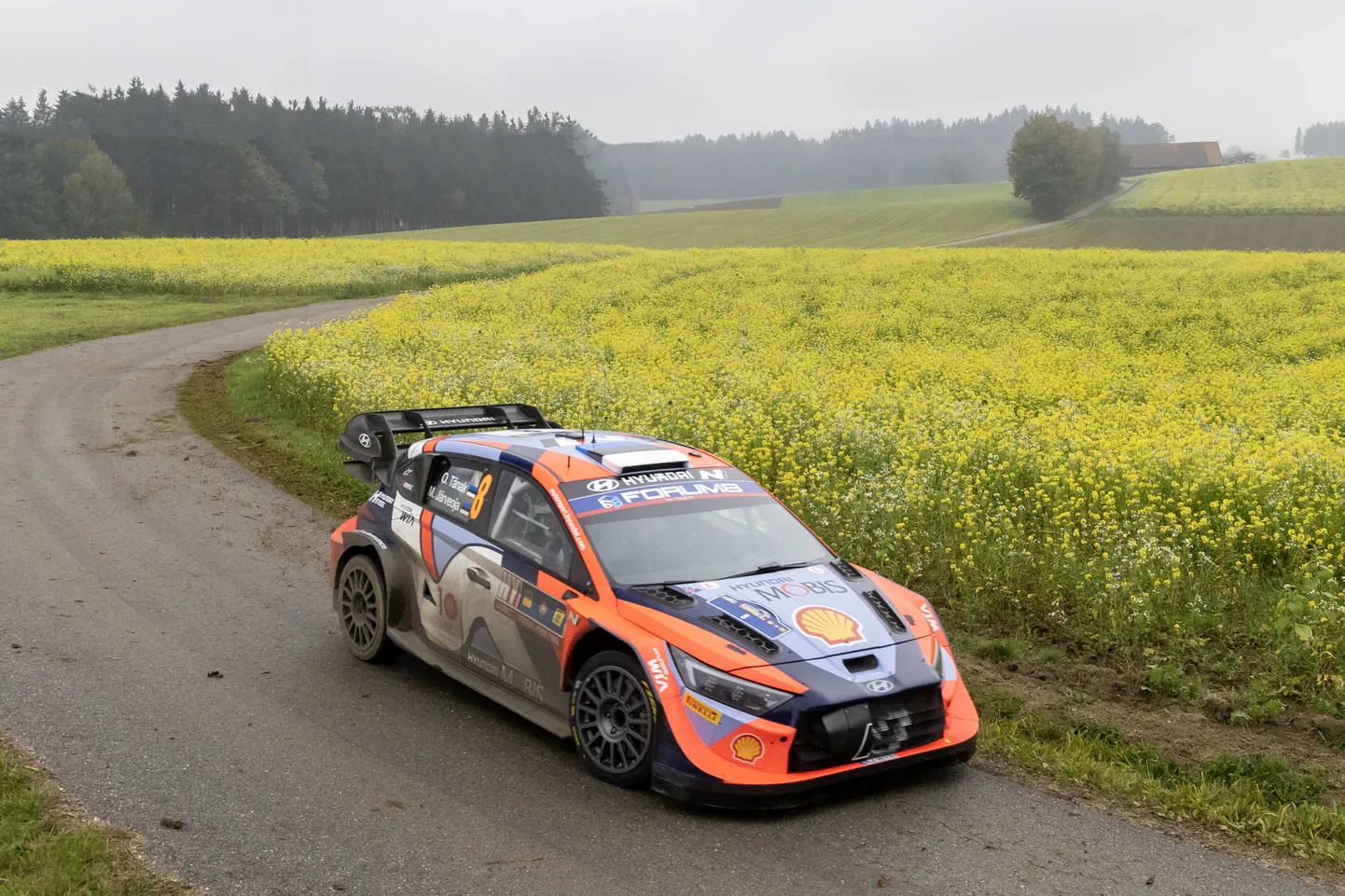 Ott Tänak ja Martin Järveoja mullu Kesk-Euroopa rallil.