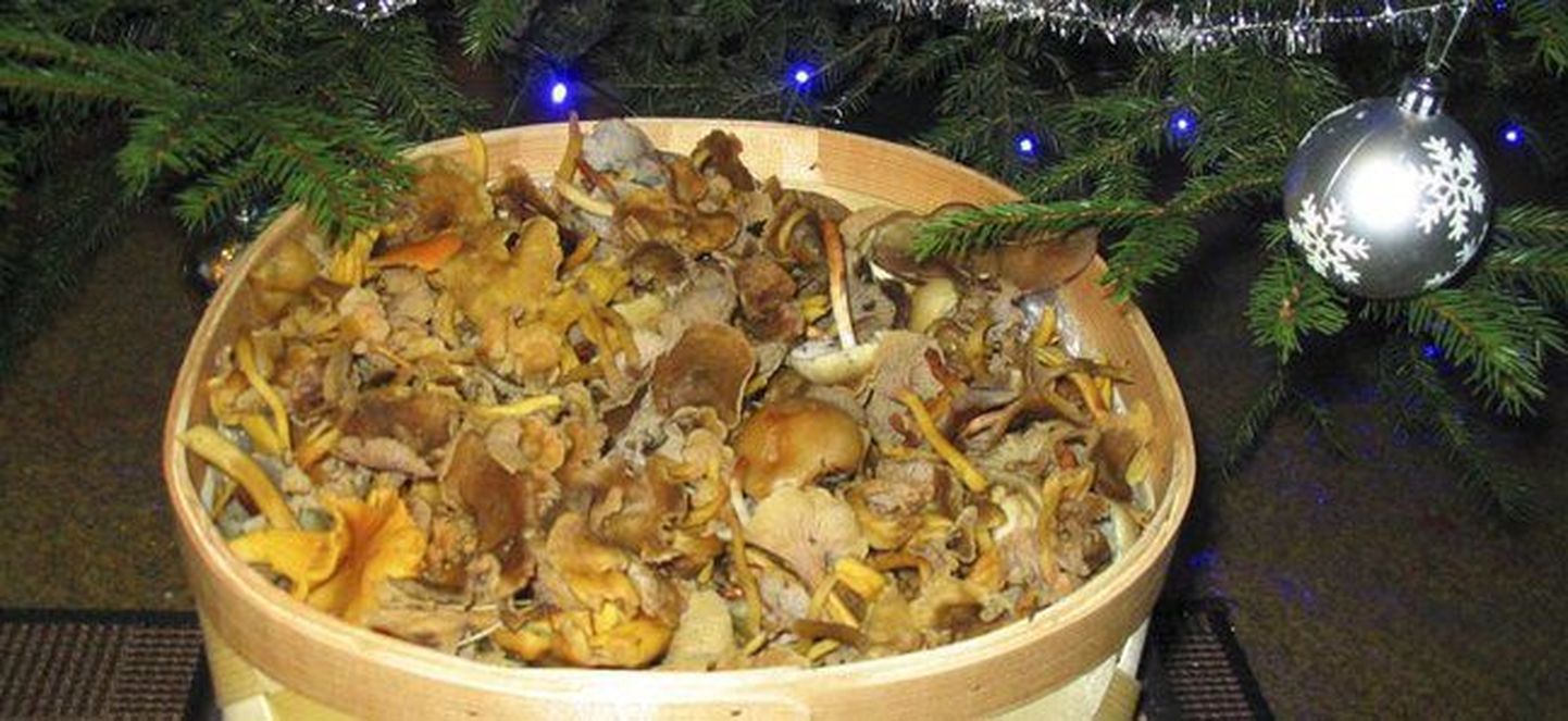 За три с половиной часа женщина собрала почти два килограмма грибов.