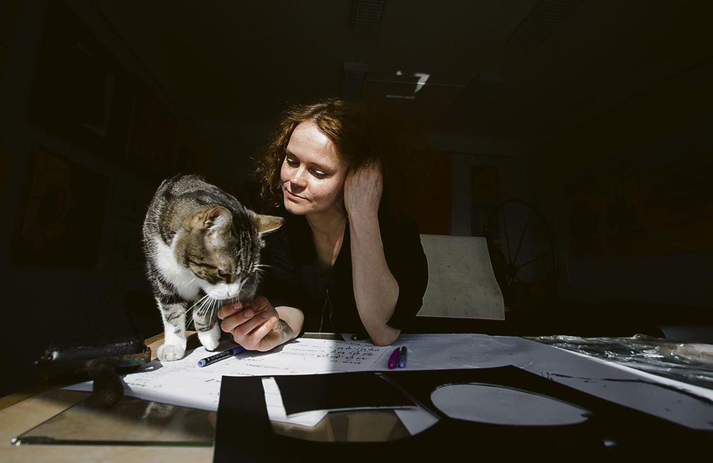 Soomlanna Niina-Anneli Kaarnamo juurdles üheksa kuud koos kass Vicologa, kust jooned tulevad. Sellest kolm nädalat veetsid nad Pärnus kunstnike majas.