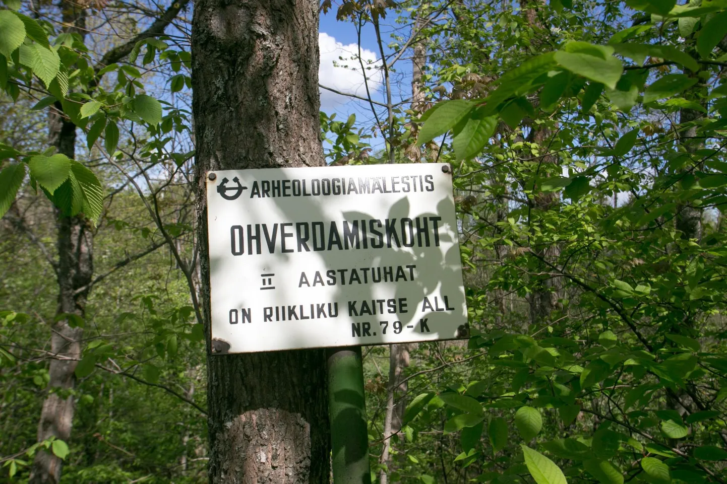 Õnniste ohvrikivi Tääksis.