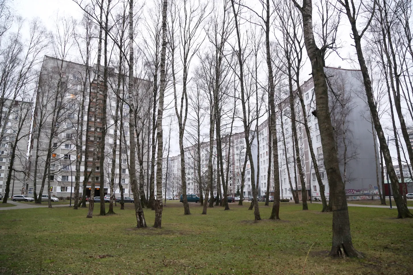 Фото статьи