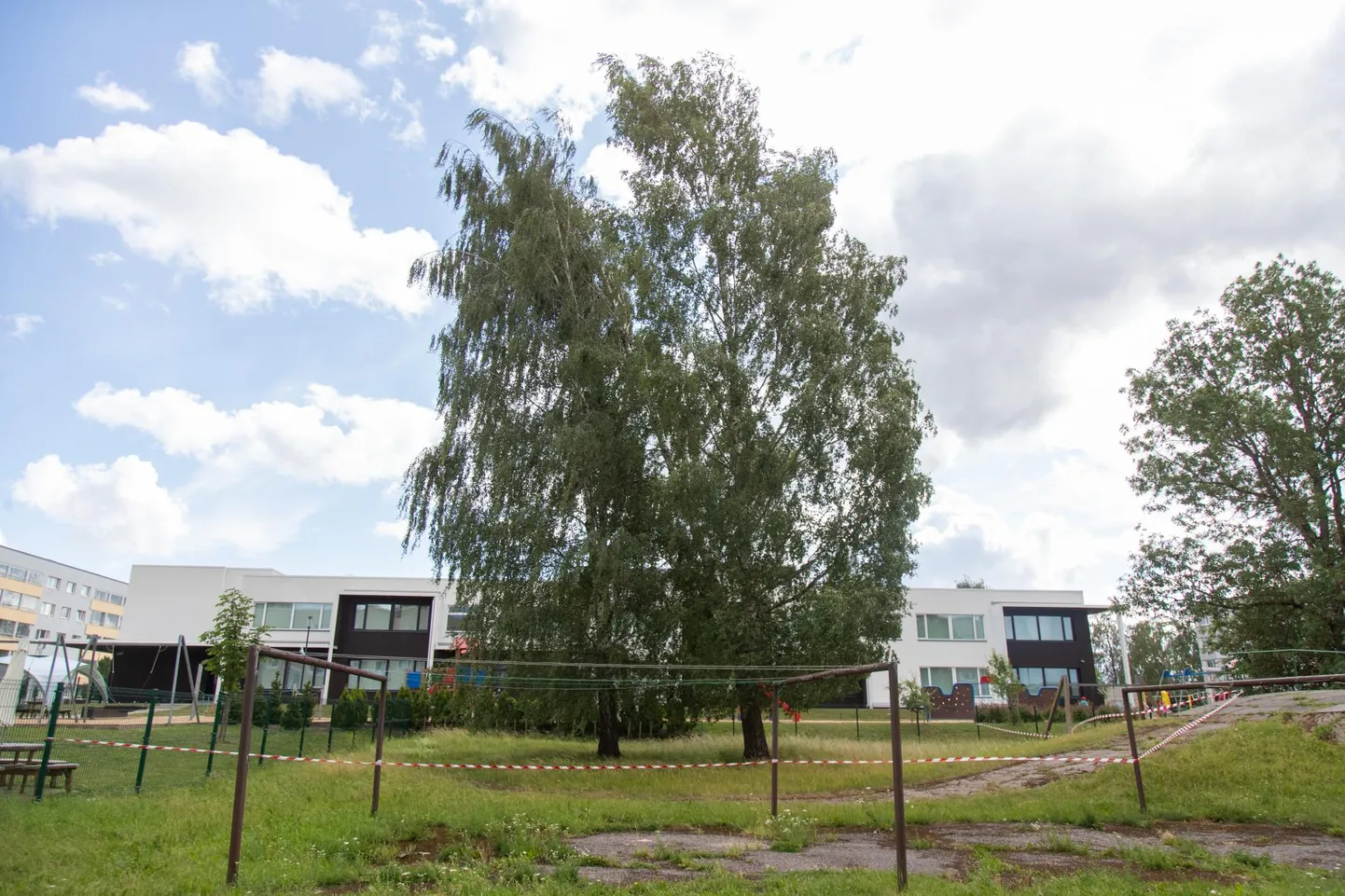 Viljandis Männimäe teel on pooleldi murdunud kask, mis ohustab hooneid.