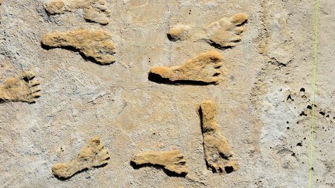 NEW SCIENTIST ⟩ Jalanõusid võidi kasutada juba 100 000 aastat tagasi
