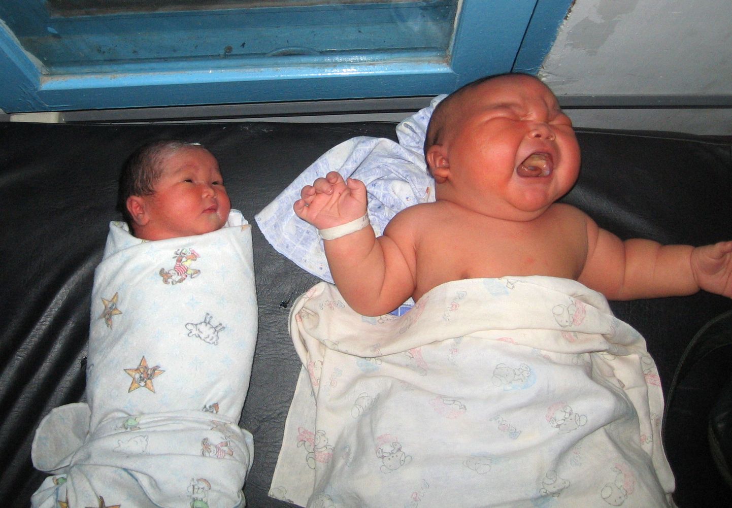 2009. aastal sündis Sumatra saarel väidetavalt maailma kõige raskem poisslaps, kelle sünnikaal oli 8,7 kg.