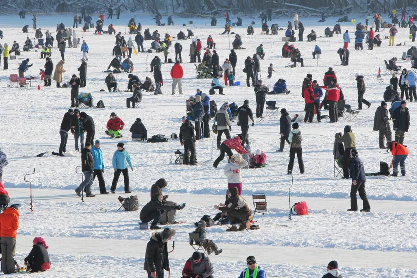 Mullu kogunes veebruari keskel Viljandisse «Kuldkala» võistlusele pisut alla 10 000 inimese. Tänavu tahavad korraldajad kala püüdma meelitada veel rohkem inimesi.