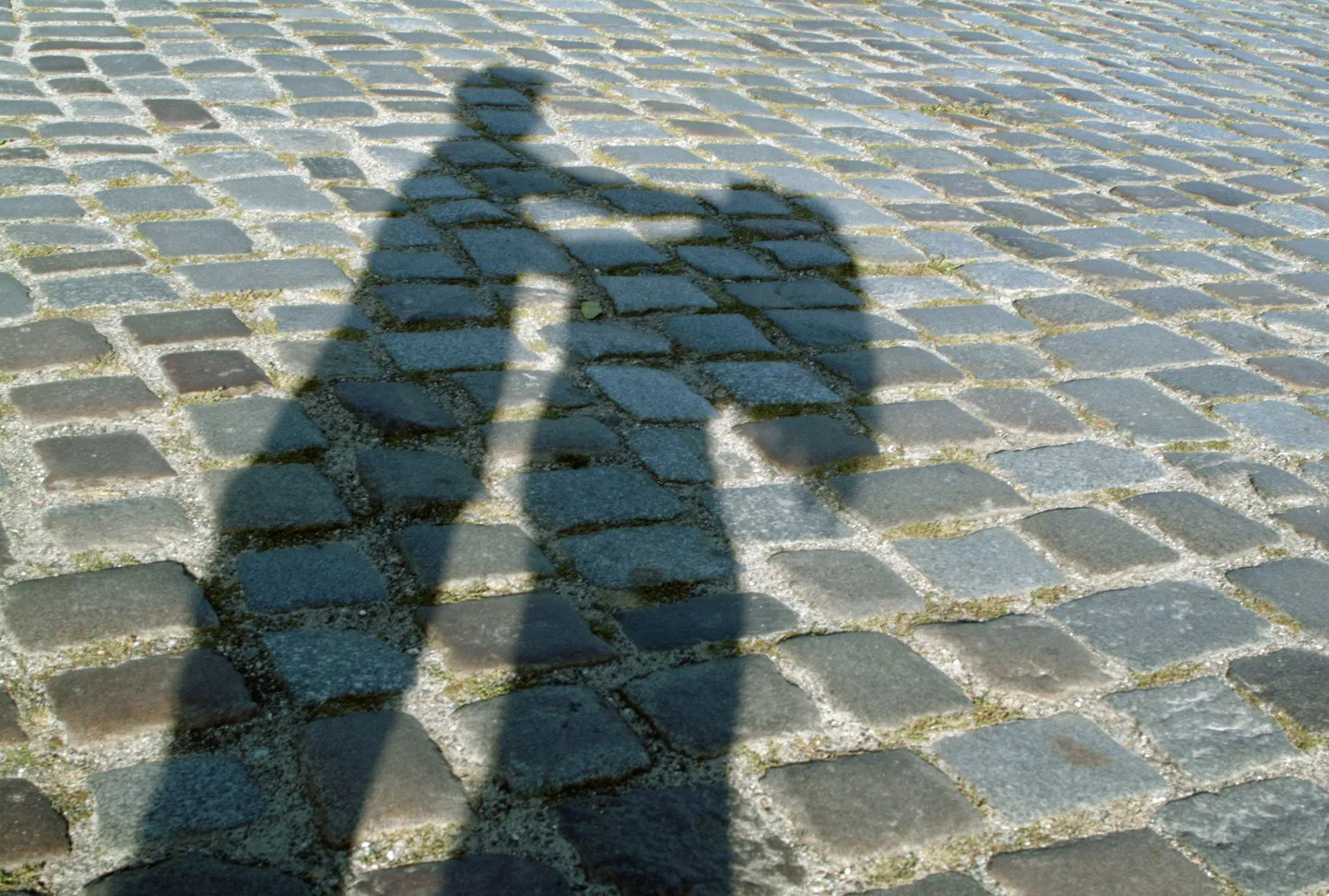 Foto on illuistreeriv.