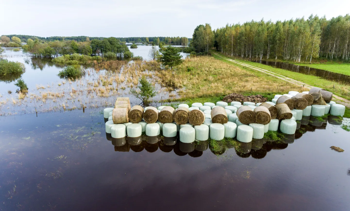 Vee alla on jäänud paljud Mustjõe-äärsed heinamaad ja mõnigi silopall läks veega rännakule. Üks mees pidi sõitma paadiga pallide juurde, et panna need vaia külge 
ketti.