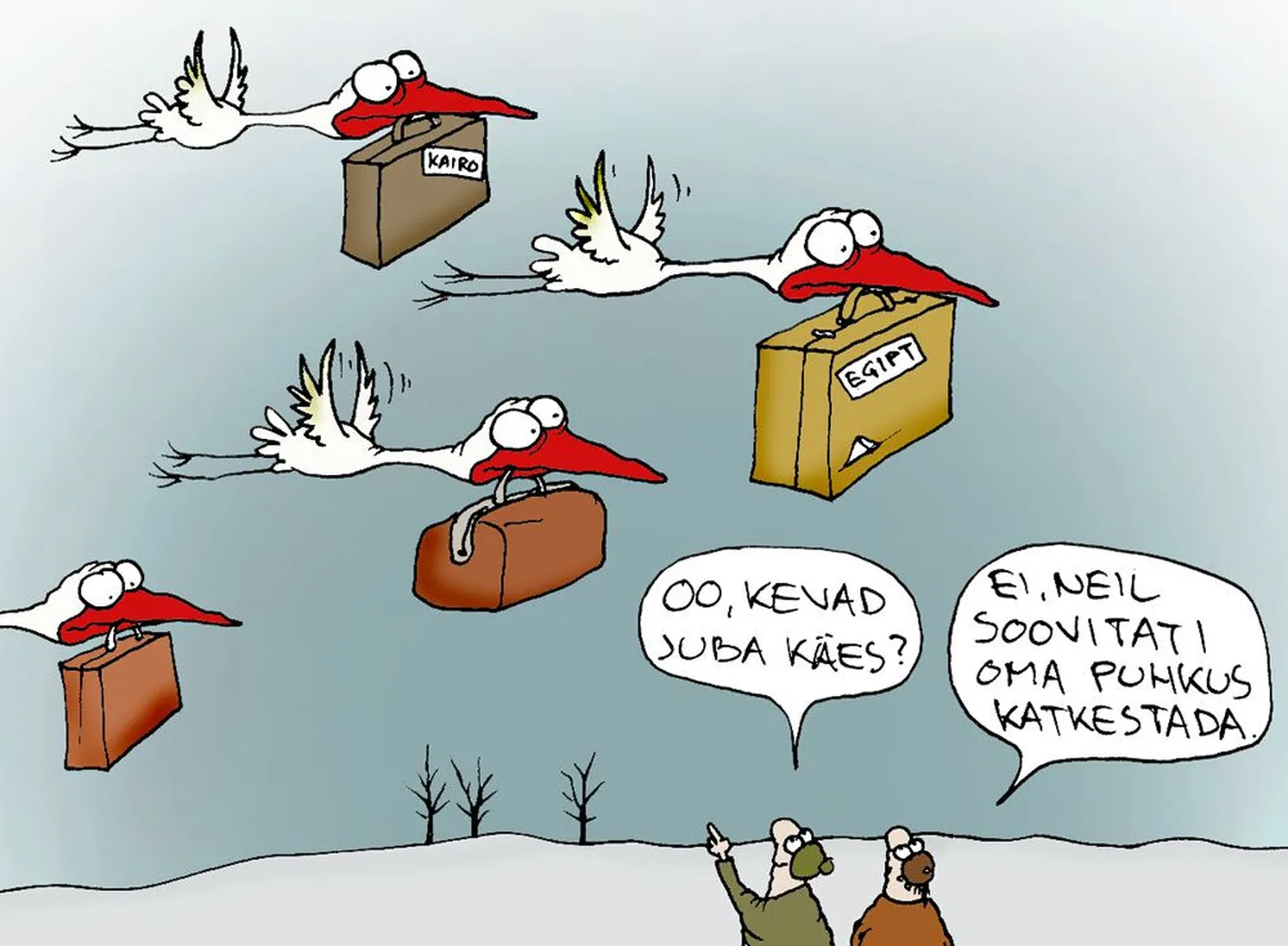 Artikli foto
