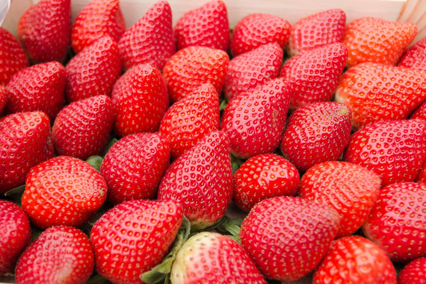 Külluslik maasikahooaeg tõi kaasa skandaalid marjade päritoluriigiga vassimises.