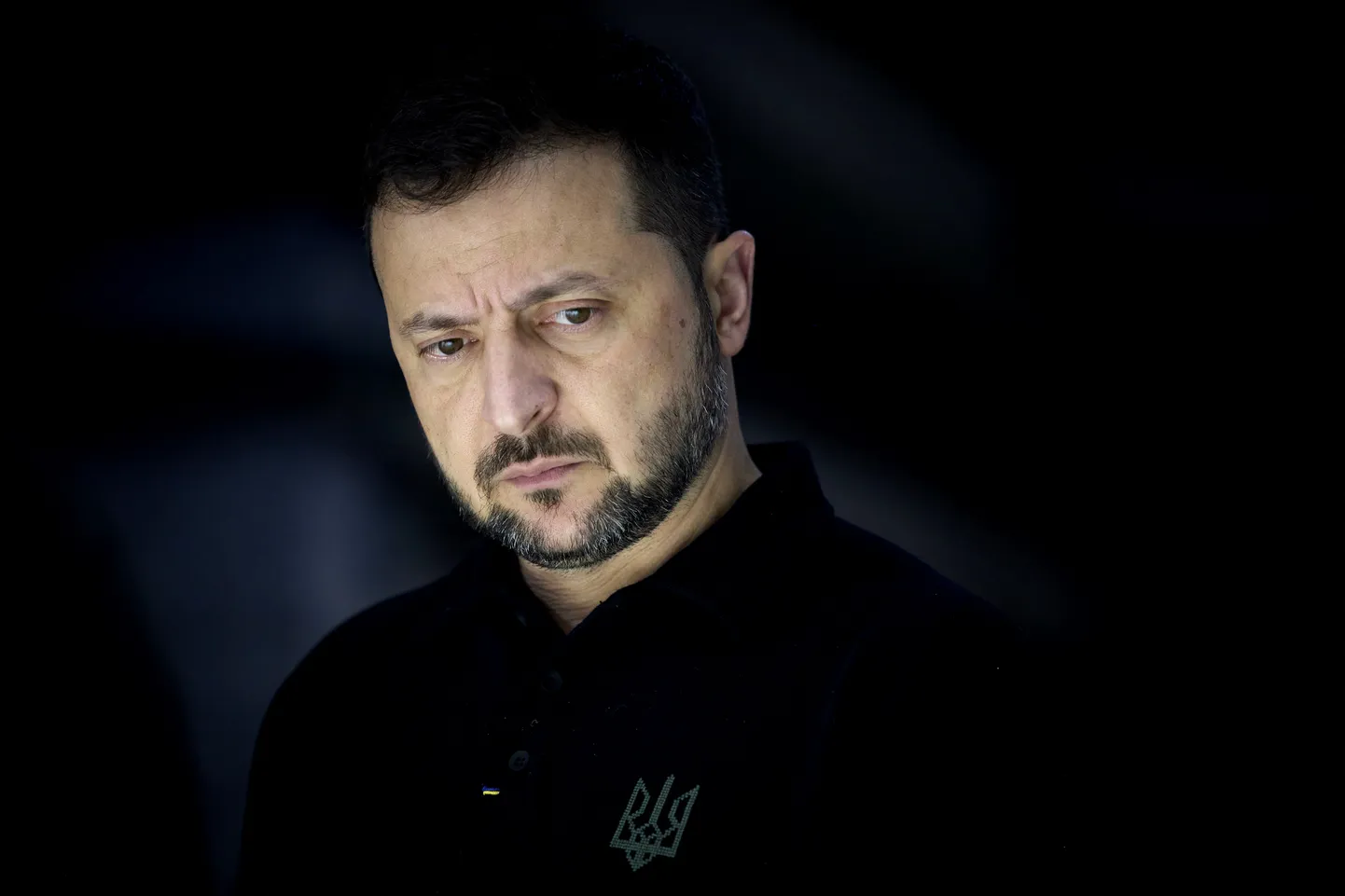 Volodimirs Zelenskis