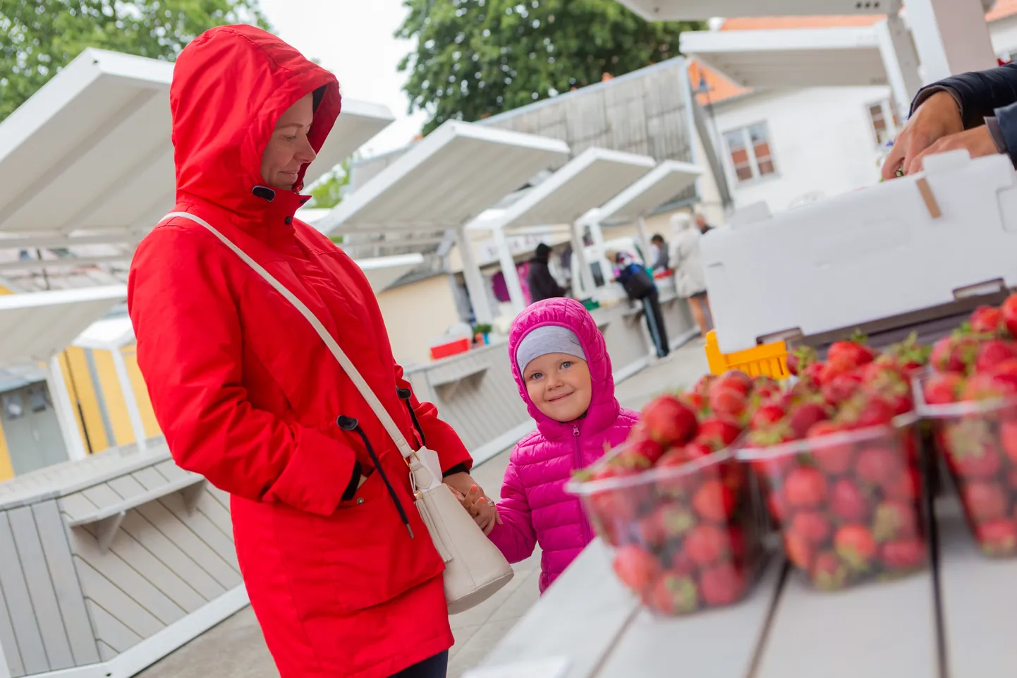 KAIDI JA KERTU PIRMA käivad turul suhteliselt harva, aga Kaidi meelest on maasikaid kindlasti mõistlikum osta turult, mitte poest.