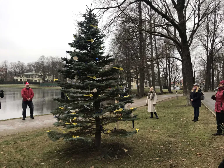 Raksta foto