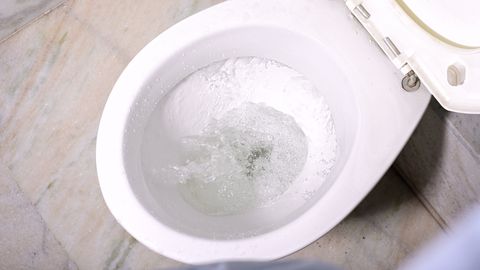 Совет финского эксперта в области электроэнергии: не смывайте воду в туалете, а все фекалии складывайте в пластиковые пакетики