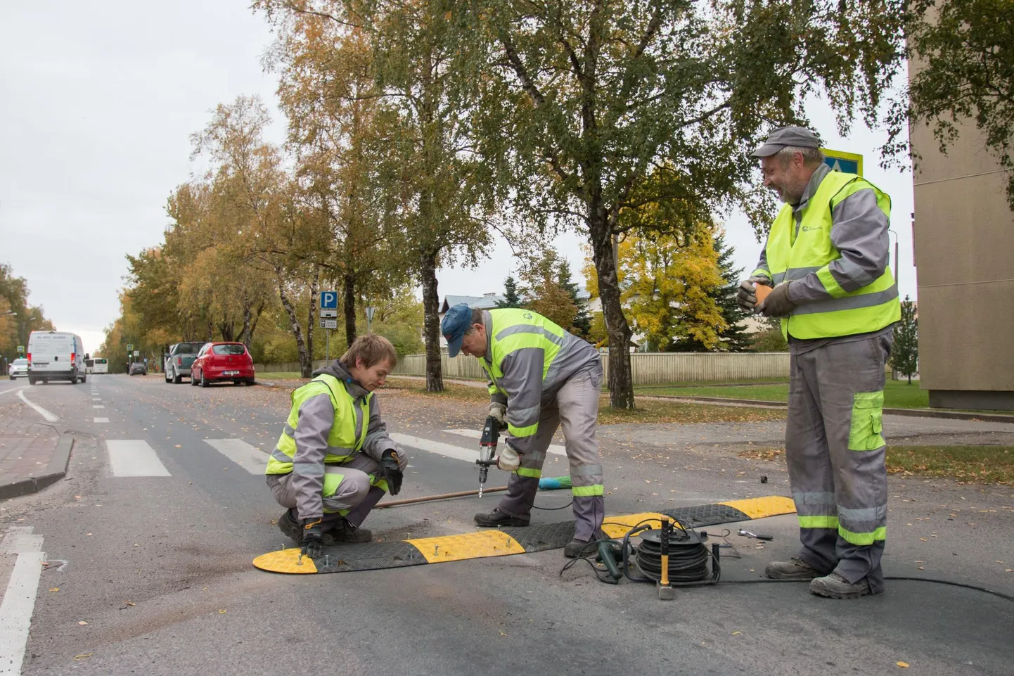 "Lamavad politseinikud" paigaldatakse liikluse rahustamiseks, kuid Tapale Eha tänavale neid vaja pole.