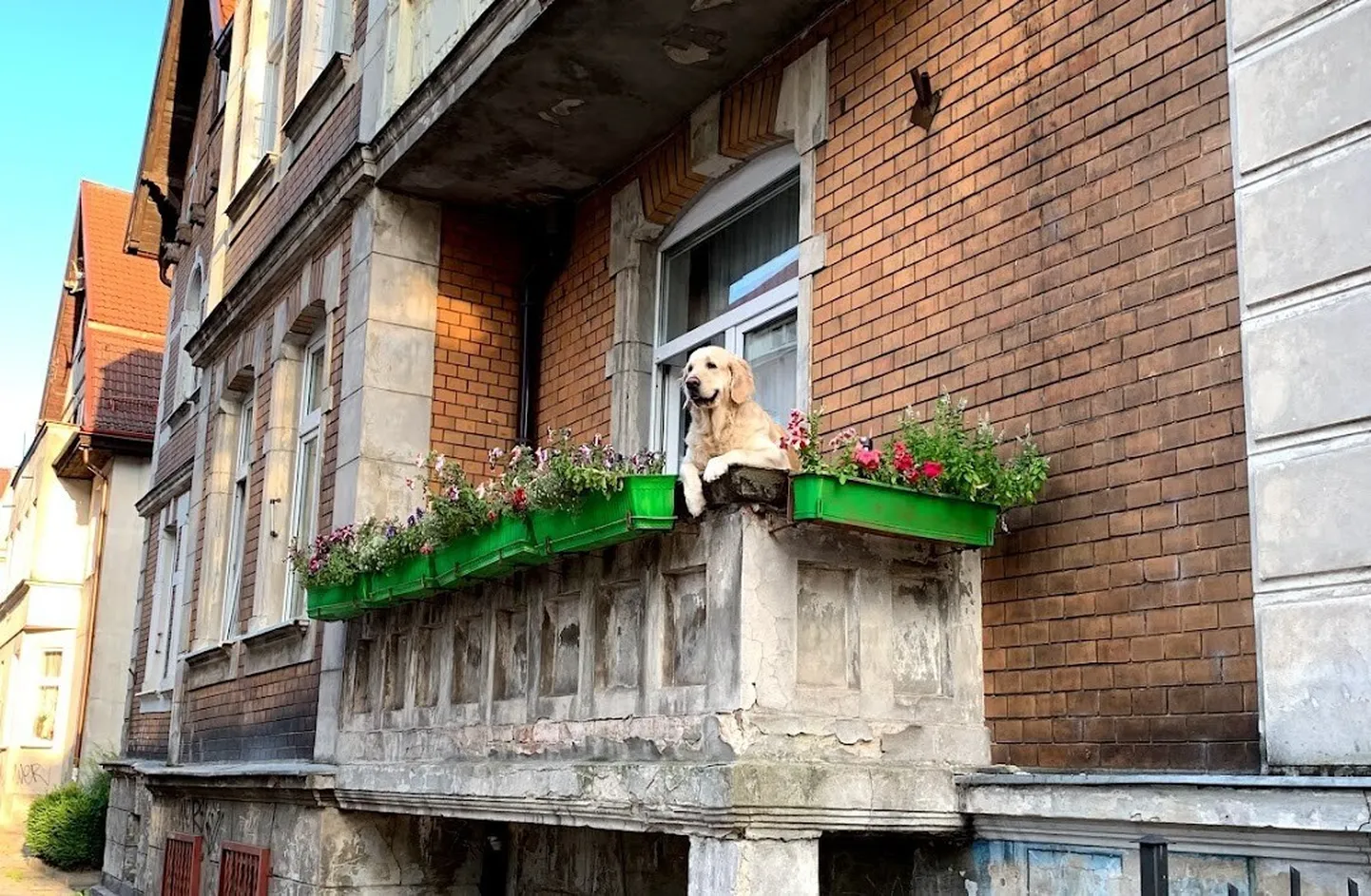 Фото статьи
