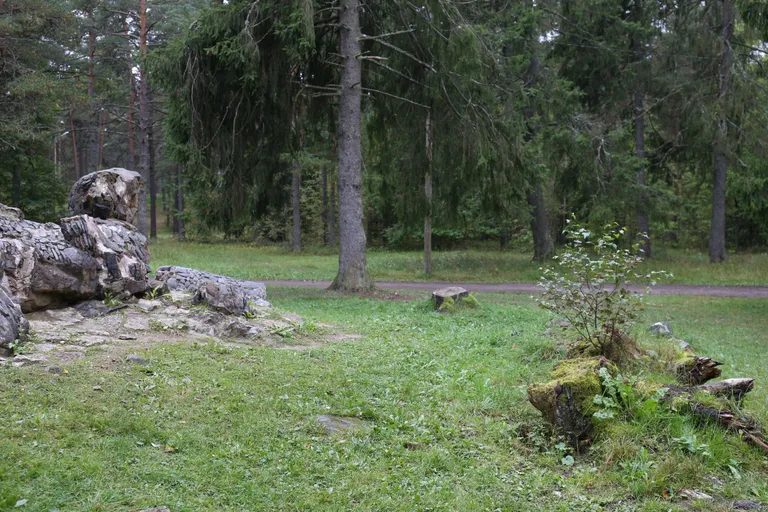 Glehni pargis ründasid herilased lapsi (Liis Treimann)