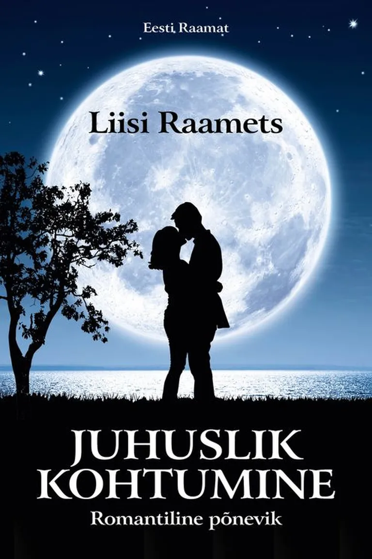 Liisi Raamets-Tunal, «Juhuslik kohtumine».