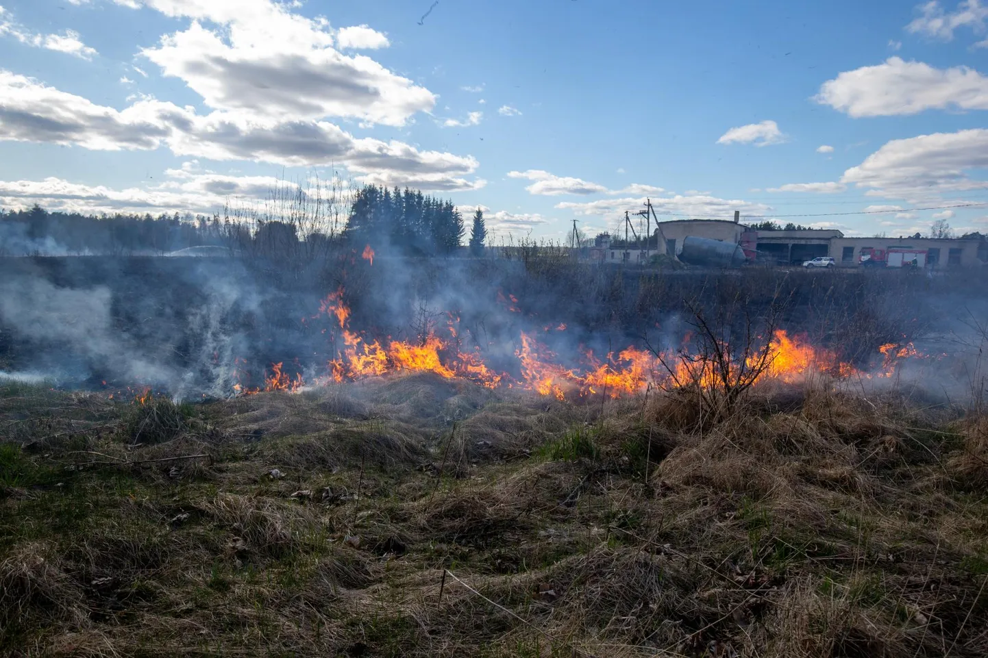 Puuke kandvad linnud pagevad põlengu eest kerge vaevaga, aga konnad, kes puuke söövad, jäävad suure tõenäosusega tulle.