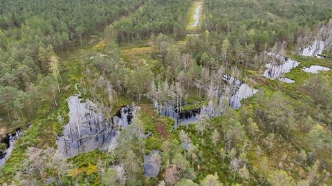 SA Kadunud vabatahtlikud otsijad leidsid septembris kadunuks jäänud mehe
