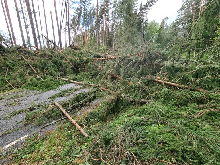 Tormikahjud Põlvamaal