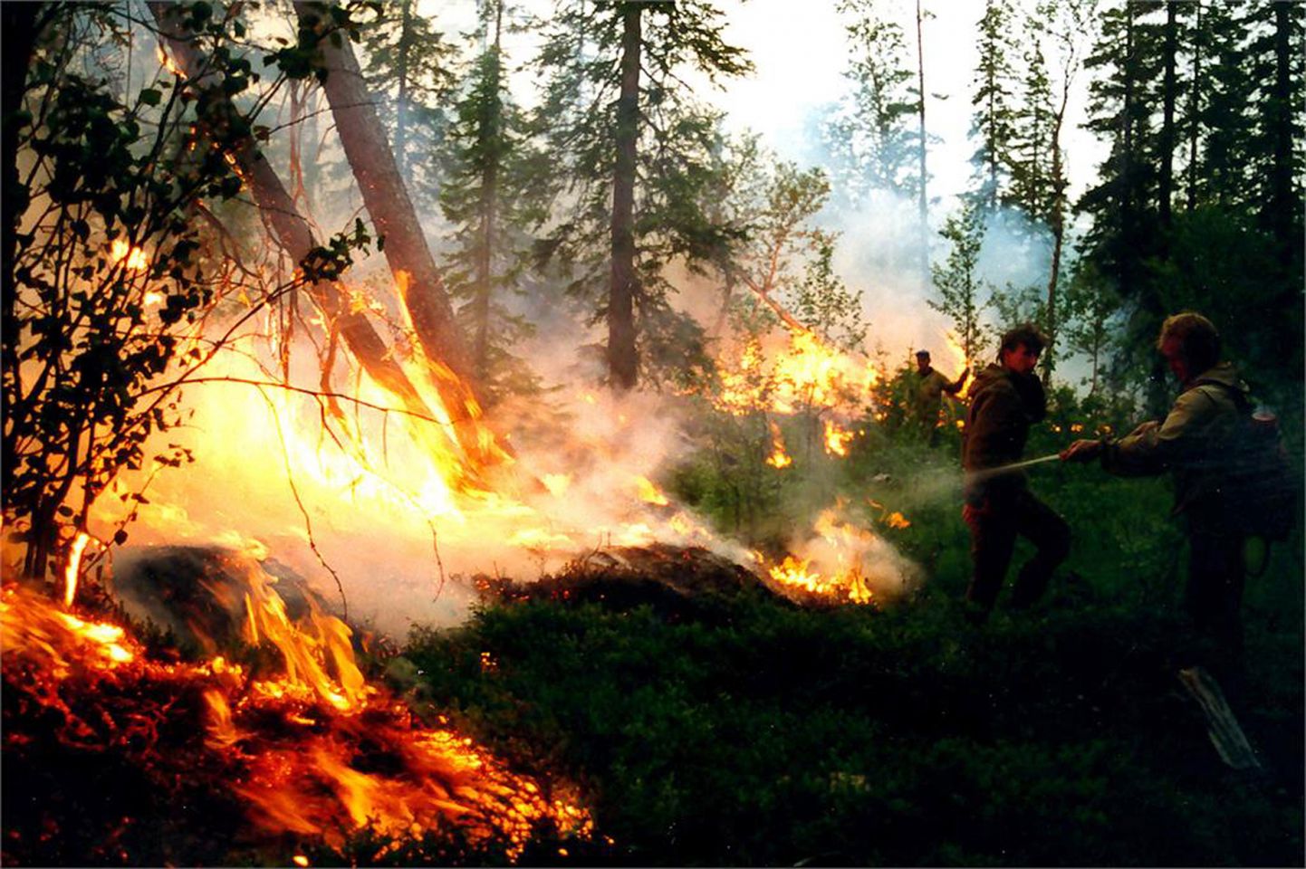 Meža ugunsgrēki Krievijā