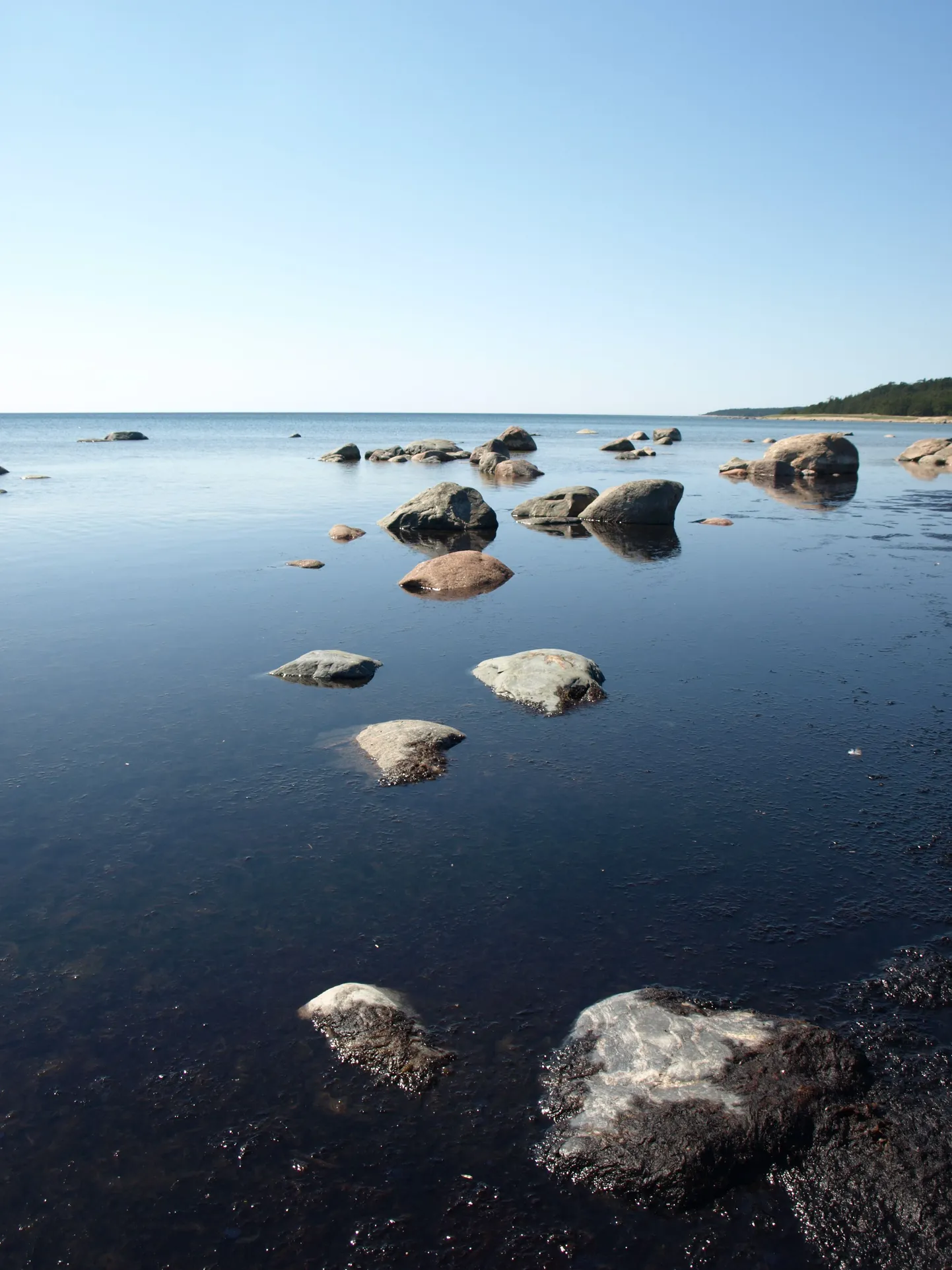Nädalavahetuse ilm tuleb ilus.