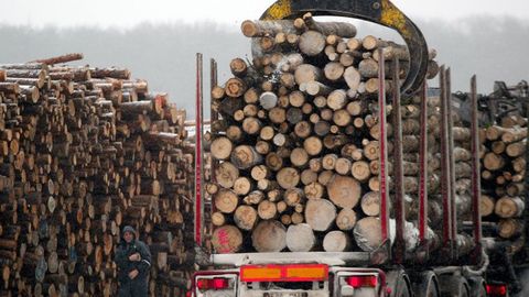 Eesti on hakanud Norrast ja Rootsist puitu importima